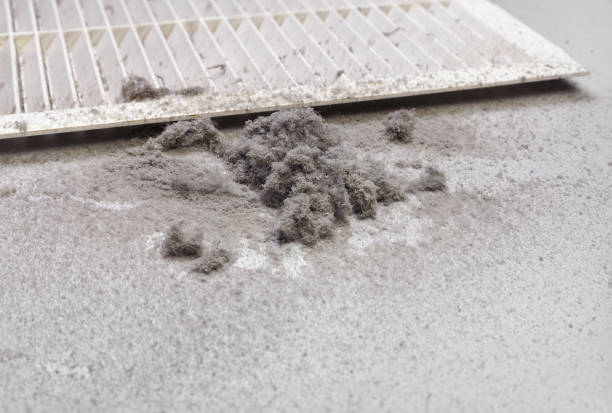 Best HVAC System Cleaning  in Whidbey Island Station, WA